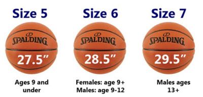 FIBA Standard Basketball Ball Size and Weight